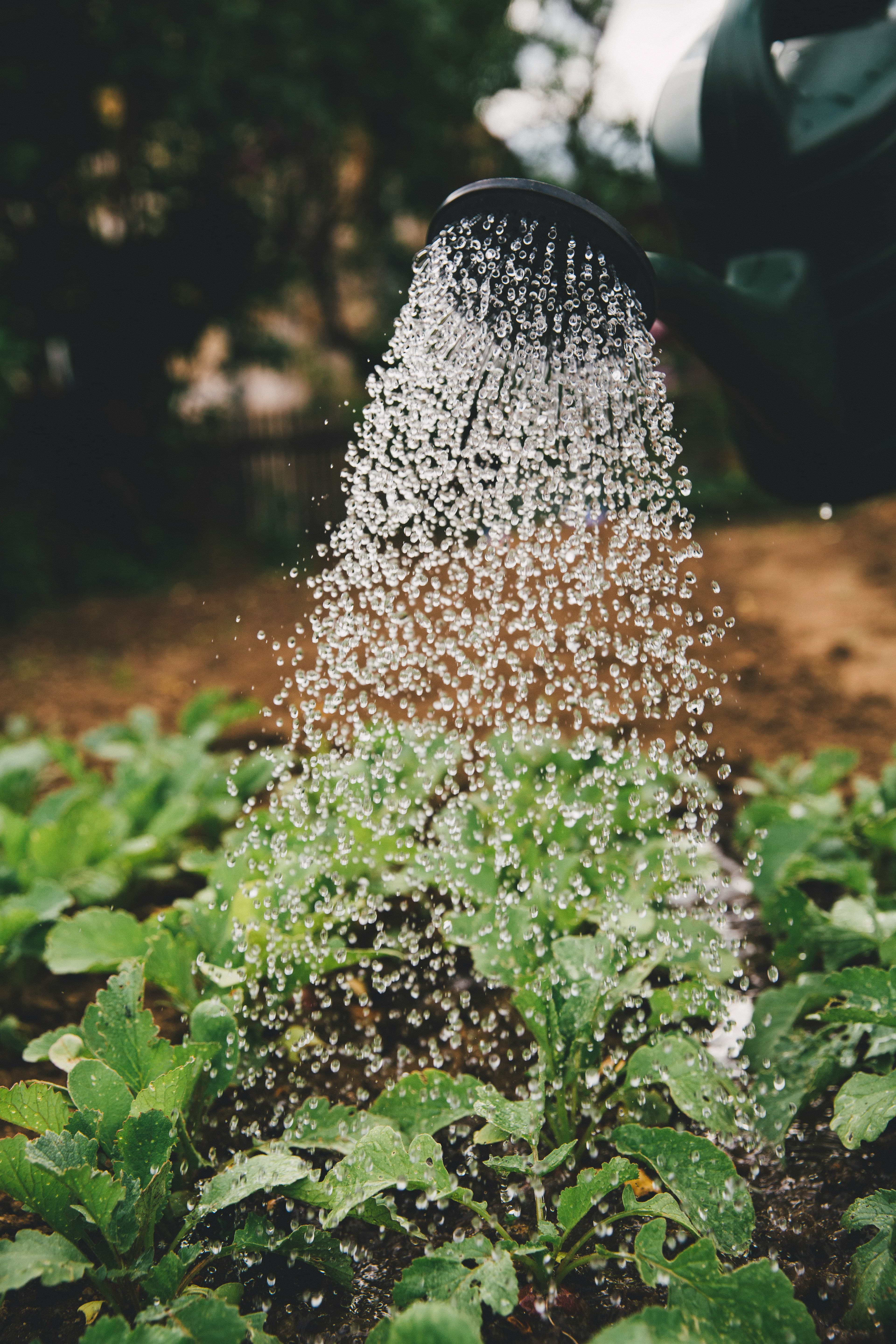 Shiwa Krishi Farm
