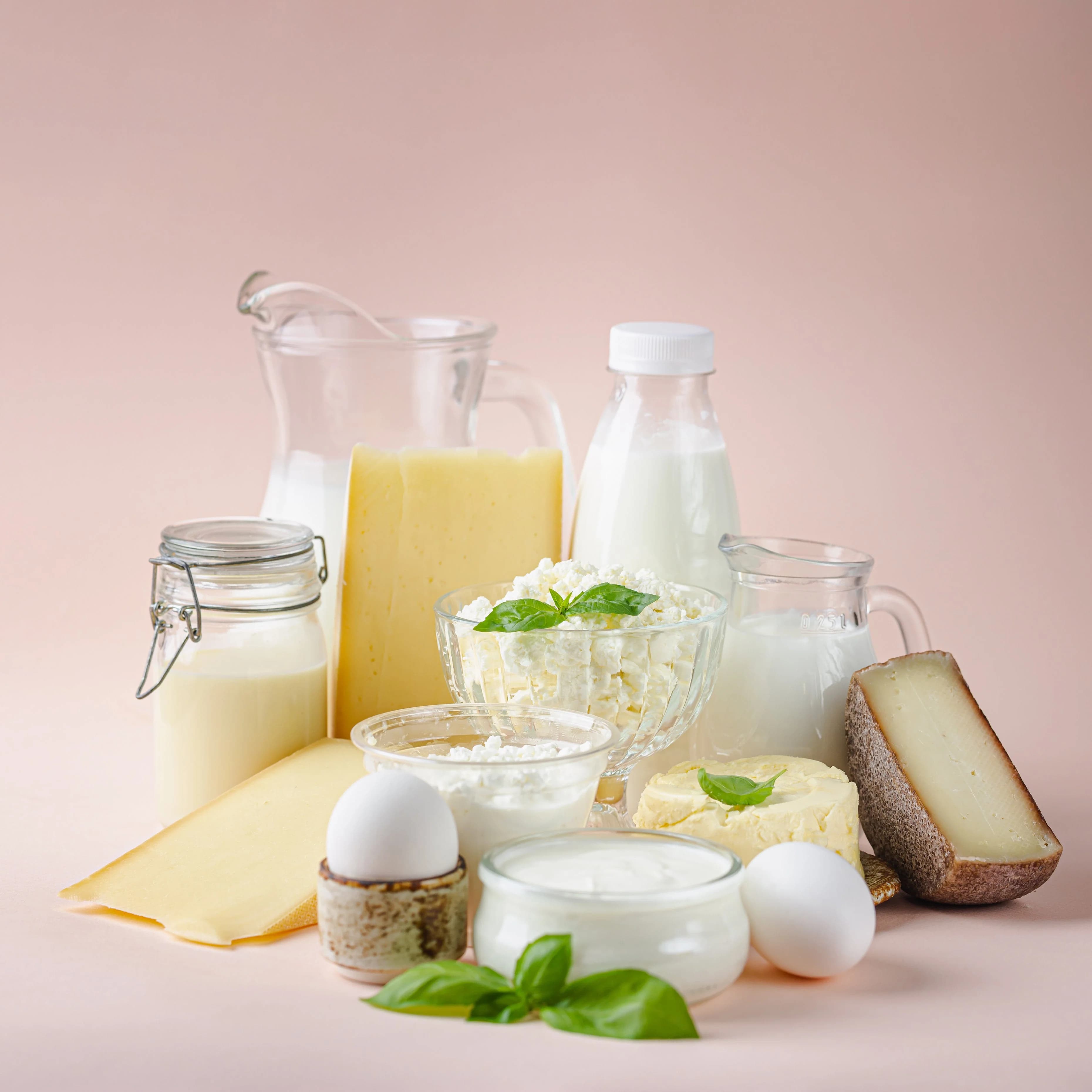 Fresh Dairy